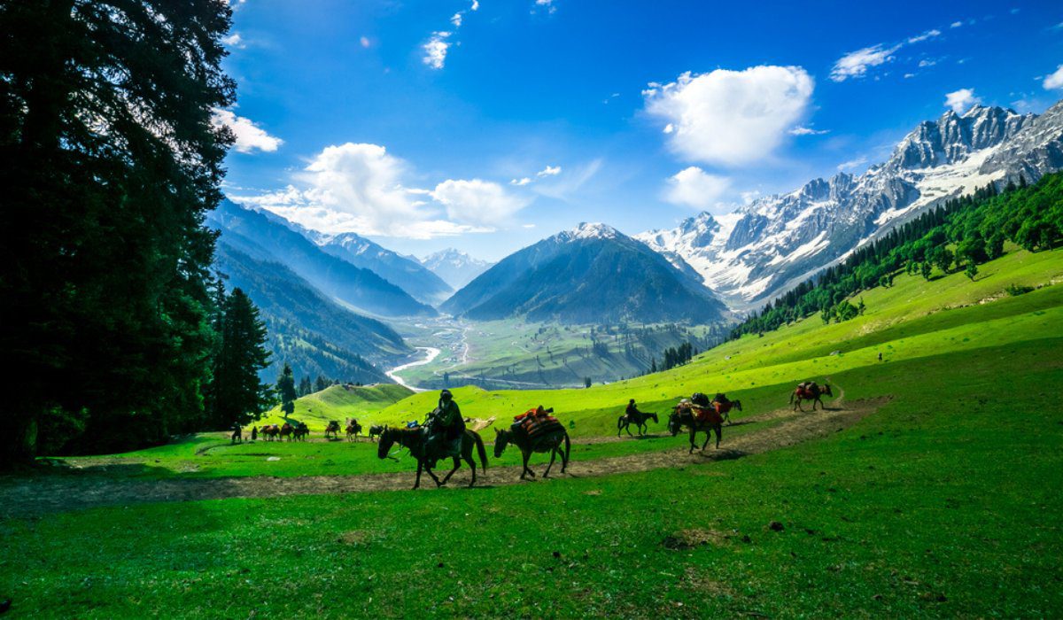 Kashmir